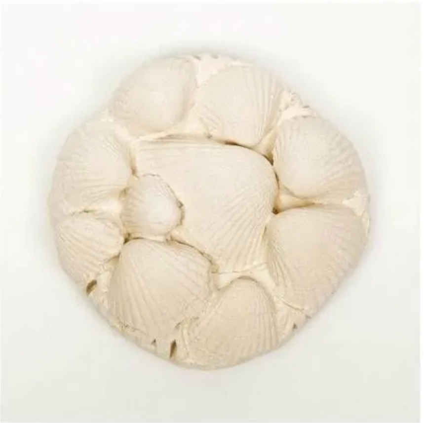 Лакомство Эльф минеральный камень для водных черепах 15 г