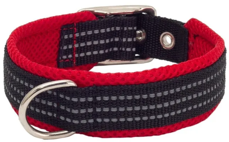 Ошейник нейлоновый с мягкой подкладкой 25мм,39-45см