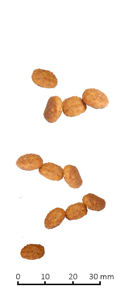 Корм Farmina Vet Life Hepatic для кошек при заболевании печени