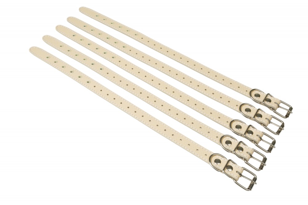 Ошейник №20 1 слой не украшенный. Цвет в ассортименте