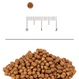 Корм сухой для кошек Blitz For Adult Cats Turkey с индейкой