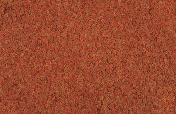 Tetra TetraPRO Energy Multi-Crisps корм для улучшения окраса у рыб в чипсах, 12 г