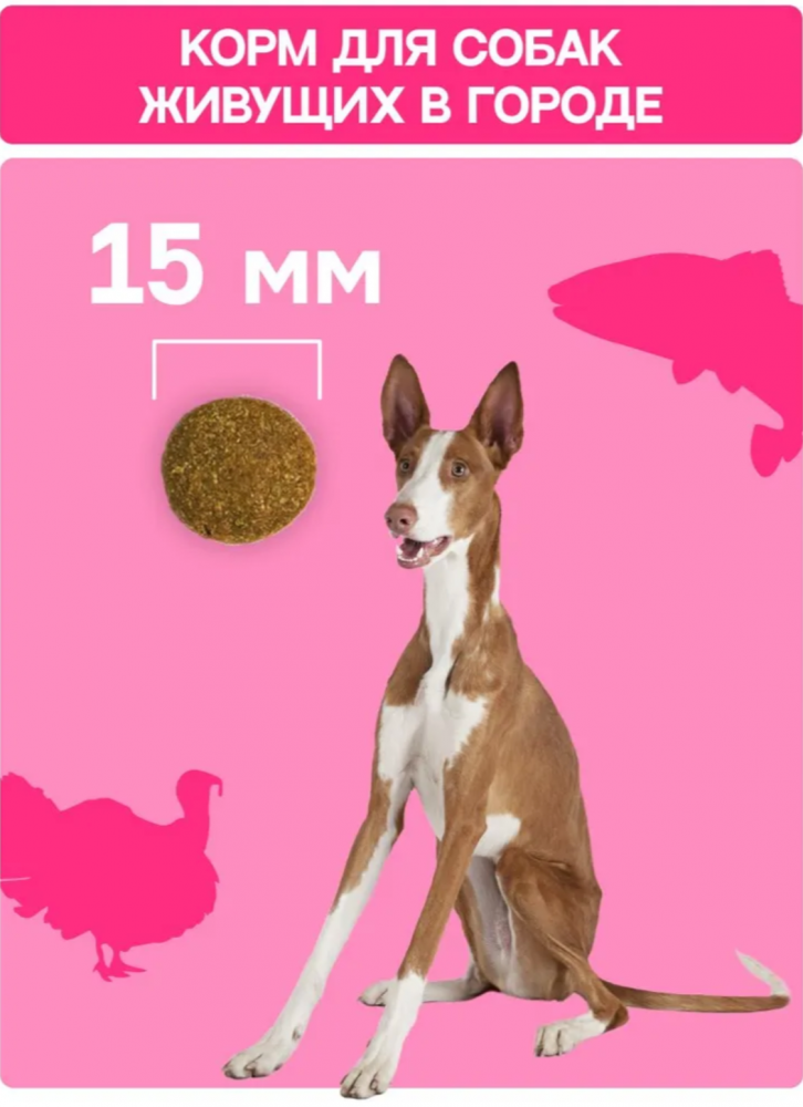 Корм МOLINA DOG Сенсетив с индейкой и лососем с чувствительным пищеварением для собак всех пород 2 кг