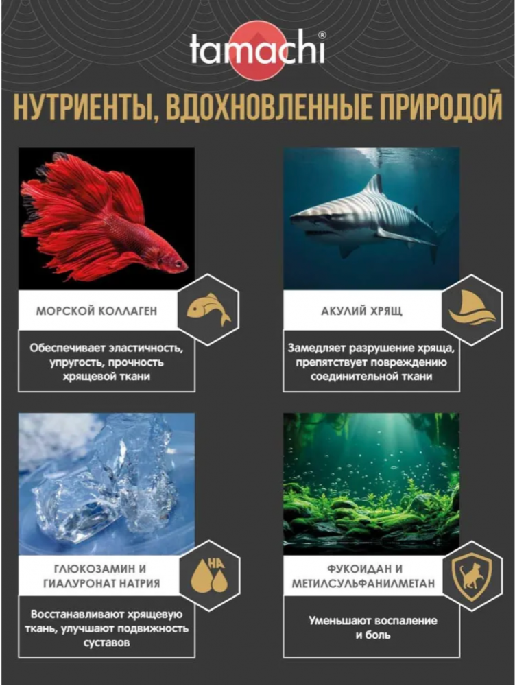 Витамины для кошек Tamachi Chondro для суставов 100 шт