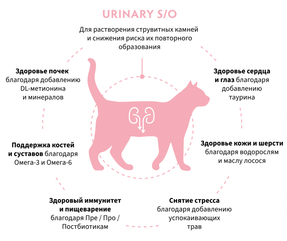 Корм Grandorf VET URINARY S/O для растворения струвитных мочевых камней  для кошекn
