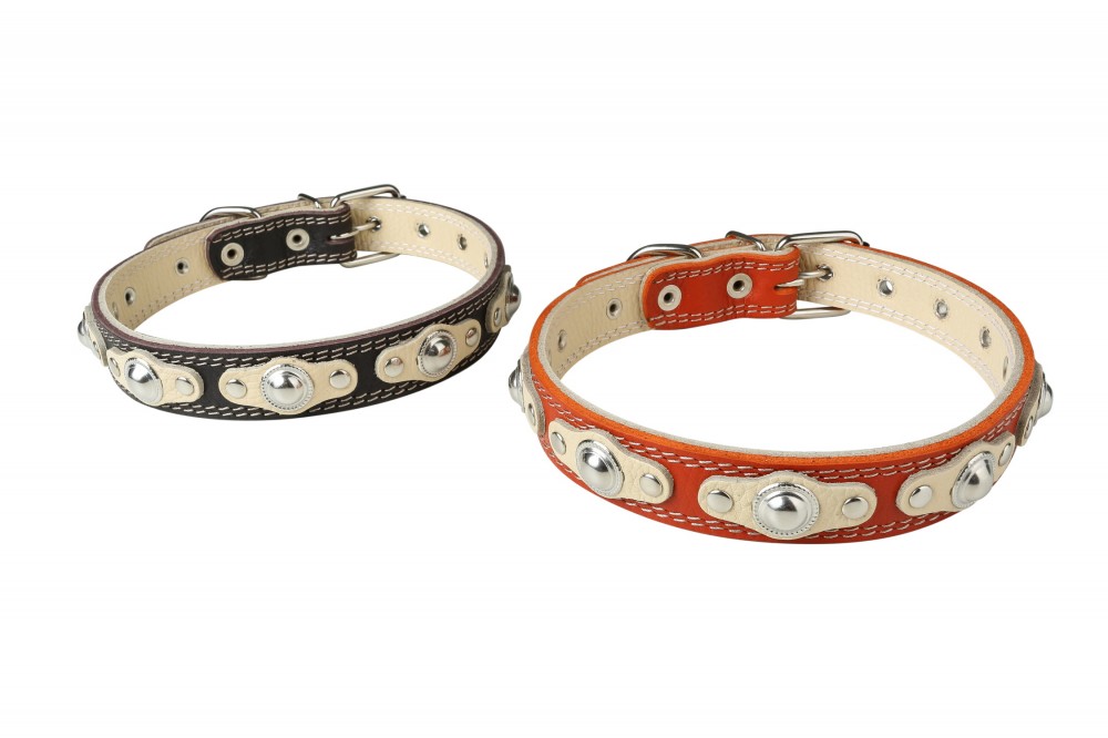 Ошейник №25 2 слоя с украшенный. Цвет в ассортименте