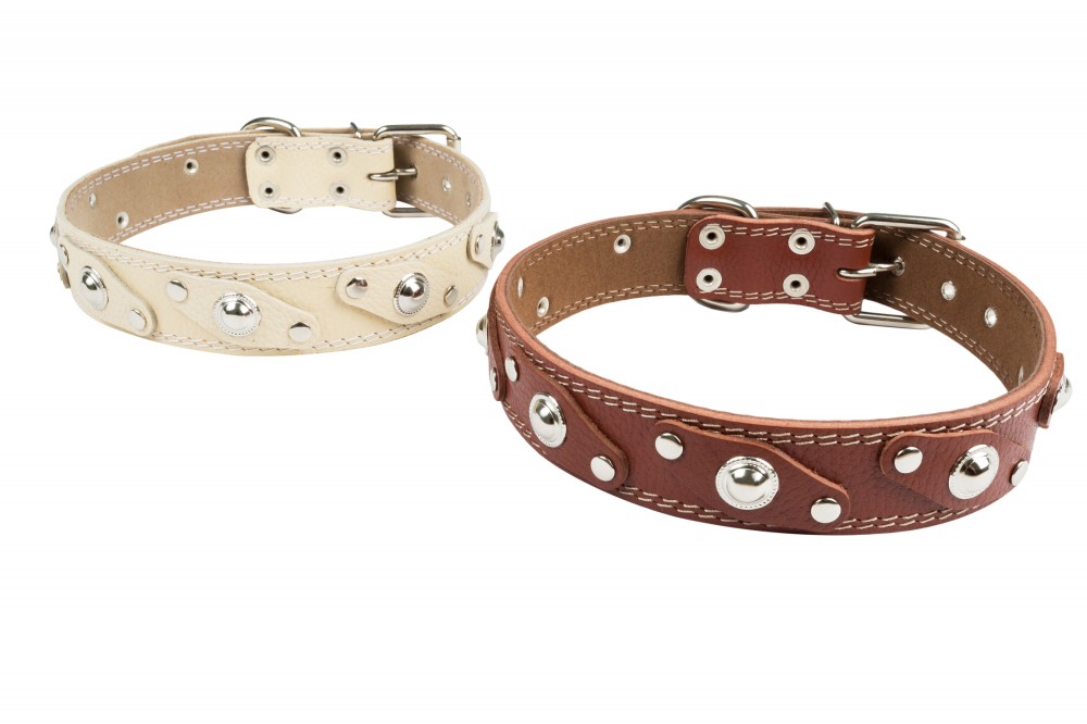 Ошейник №36 1 слой с подкладом украшенный. Цвет в ассортименте