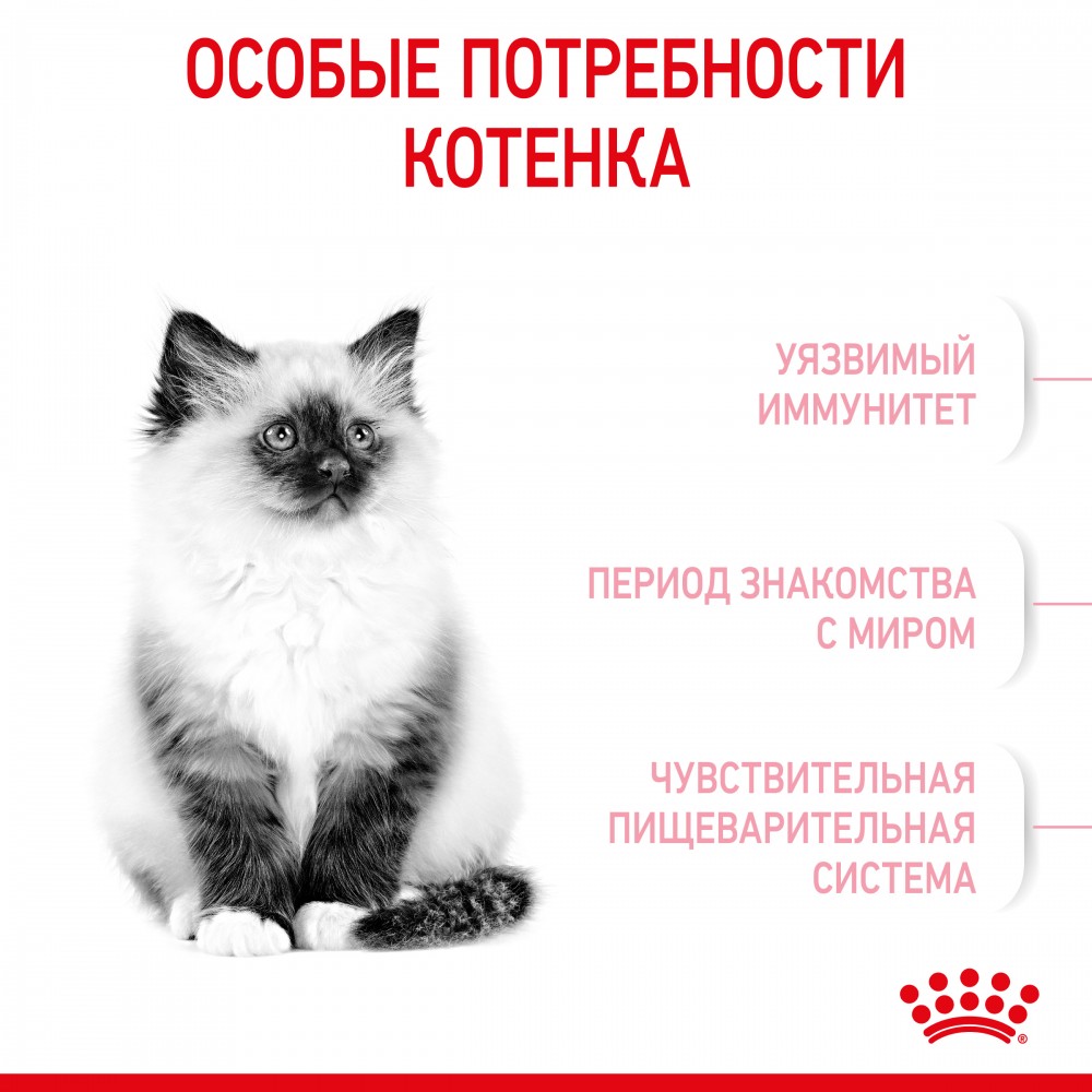 Корм Royal Canin Kitten для котят от 4 до 12 мес