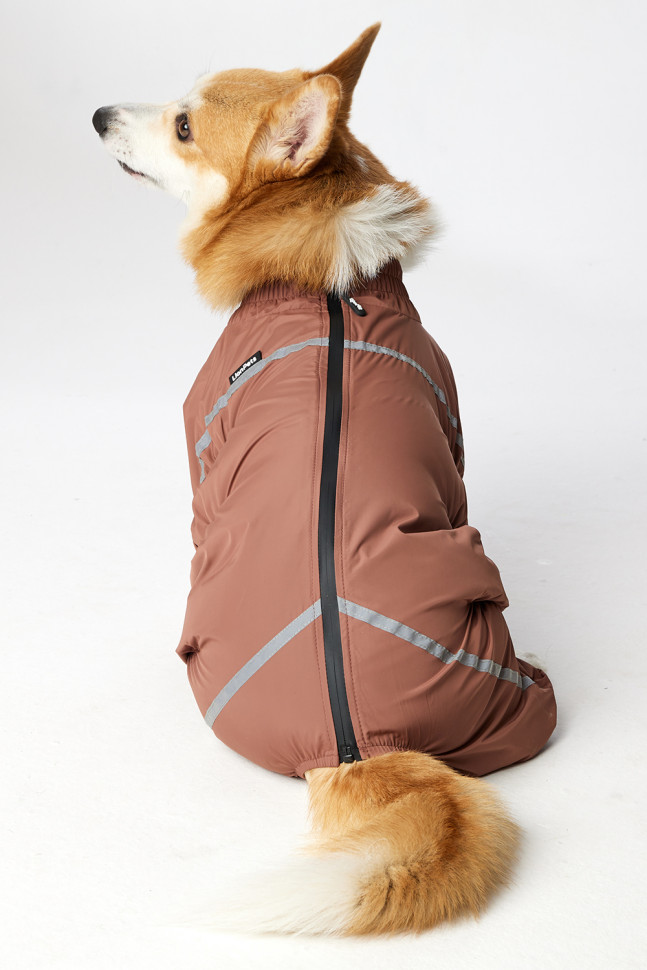 Дождевик LionPets Корги LPK-9125-128 на мальчика Цвет: Шоколадный (мальчик Размер 1 (спинка 50, обхват шеи 40-50, обхват груди 50-62))