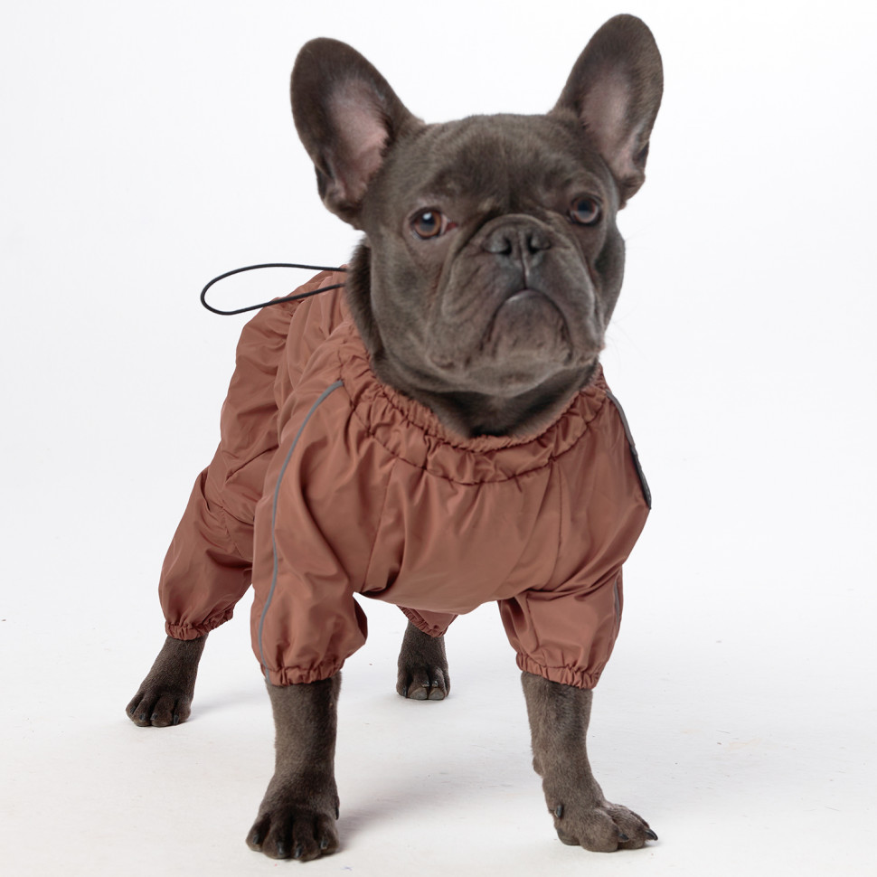 Дождевик LionPets Французский бульдог LPK9025-128 на мальчика Цвет: Шоколадный