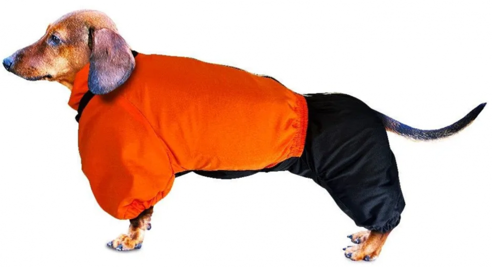 Комбинезон Зоотренд Такса большая кр зимний