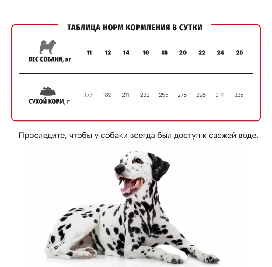 Корм Karmy MEDIUM  ADULT -Телятина. Корм для взрослых собак средних пород