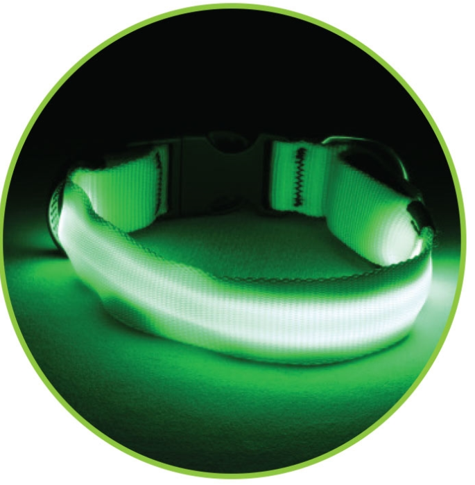 Китай Ошейник светодиодный неоновый L, 25*410-510мм. Цвет в ассортименте