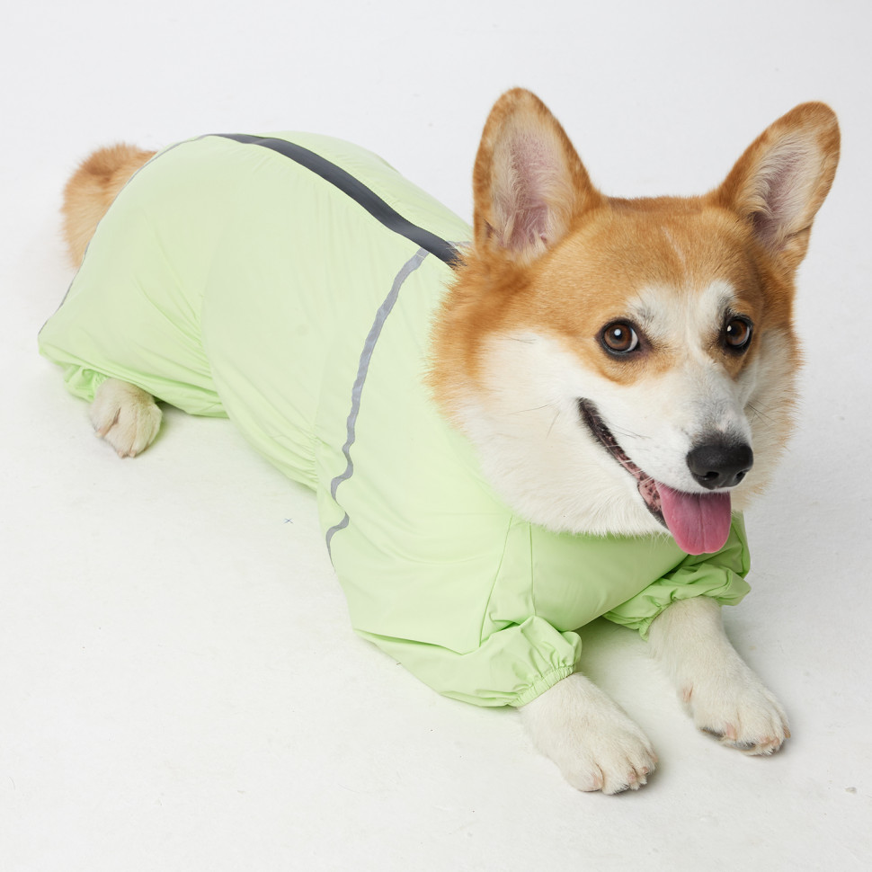 Дождевик LionPets Корги LPK-9125-4 на девочку Цвет: Салатовый (девочка Размер 1 (спинка 50,обхват шеи 35-46, обхват груди 53-60))