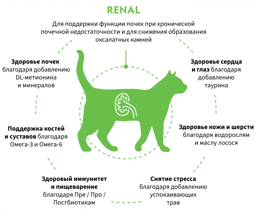 Корм Grandorf VET RENAL при острой почечной недостаточности, при хронической болезни почек кошекn