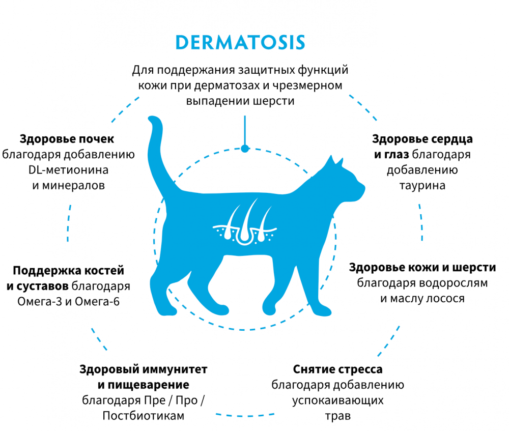 Корм Grandorf VET DERMATOSIS предназначенный для поддержания защитных функций кожи при дерматозах и чрезмерном выпадении шерсти для кошекn
