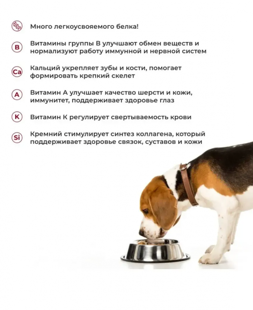 Корм Готовая Миска Говядина полнорационный для собак 300 г