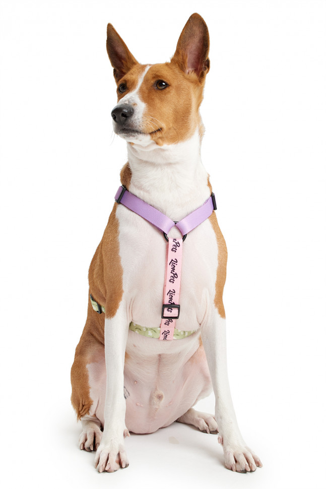 Шлейка LionPets LP23-10 (Размер L обхват груди 46-72 см, шея 38-58 см)