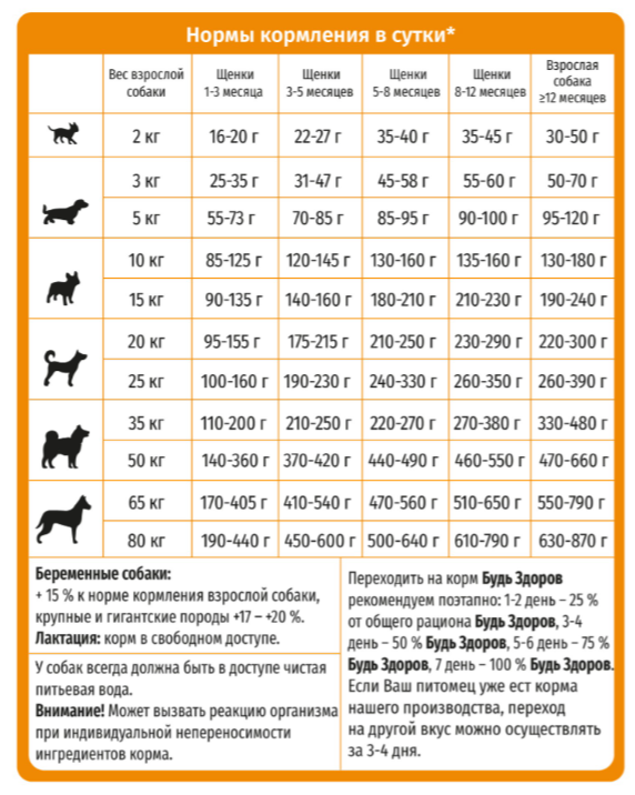 Корм Будь Здоров (Живая сила) Супер-Премиум (крупная гранула) для собак, для здоровья кожи и красивой шерсти, с рыбой, 10 кг