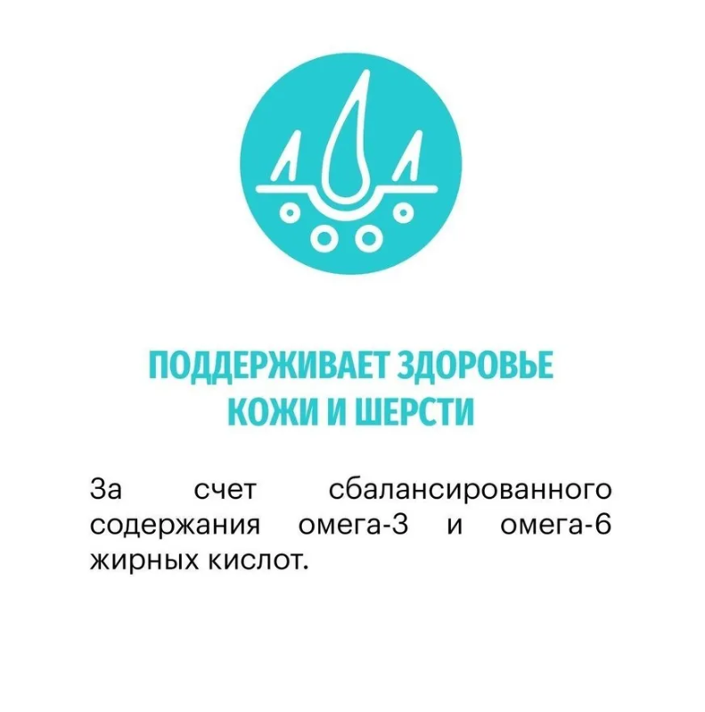 Корм Karmy HYPOALLERGENIC MEDIUM&amp;MAXI для склонных к пищевой аллергии - ягненок