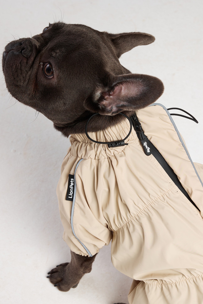 Дождевик ЛионПетс Французский бульдог для мальчика LPK9025-10 спина 41.вет Молочный