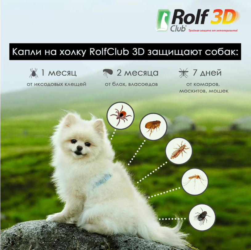 RolfClub 3D (Neoterica) капли для собак до 4 кг, от блох и клещей, 1 пипетка, 0.5 мл