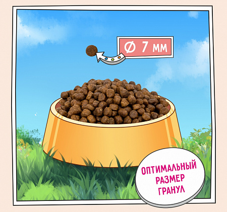 Корм ZILLII Kitten Сухой корм для котят Индейка с Ягнёнком