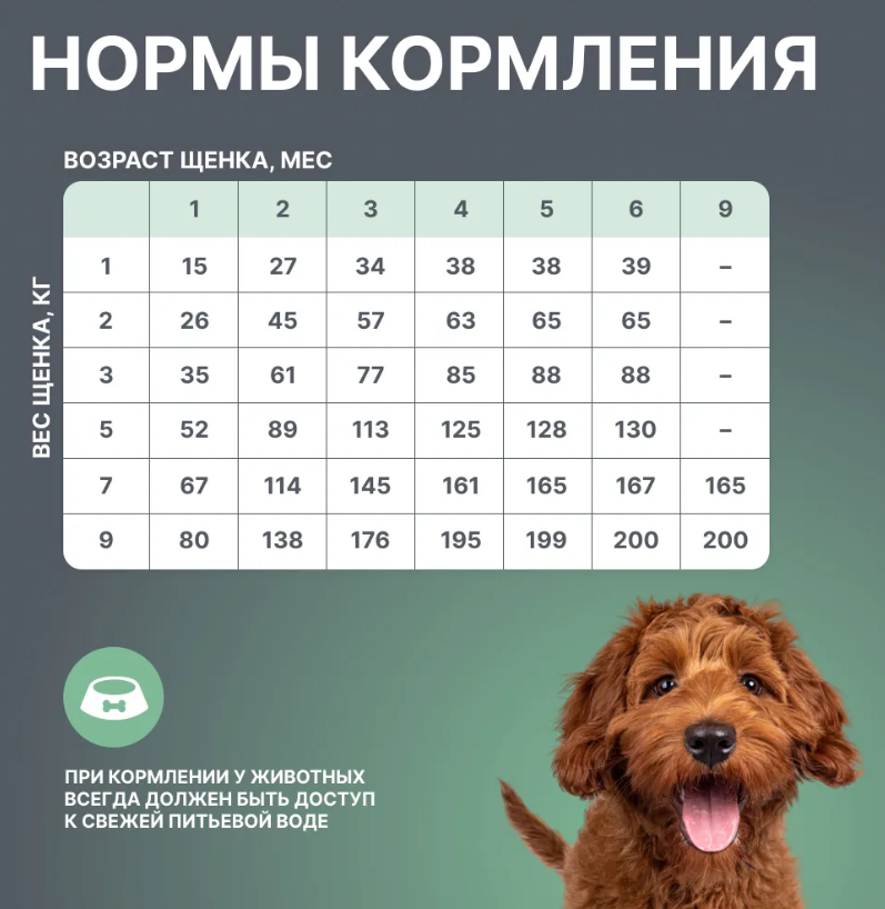 Корм BOWL WOW для собак мелких пород с индейкой, рисом и шпинатом 800гр