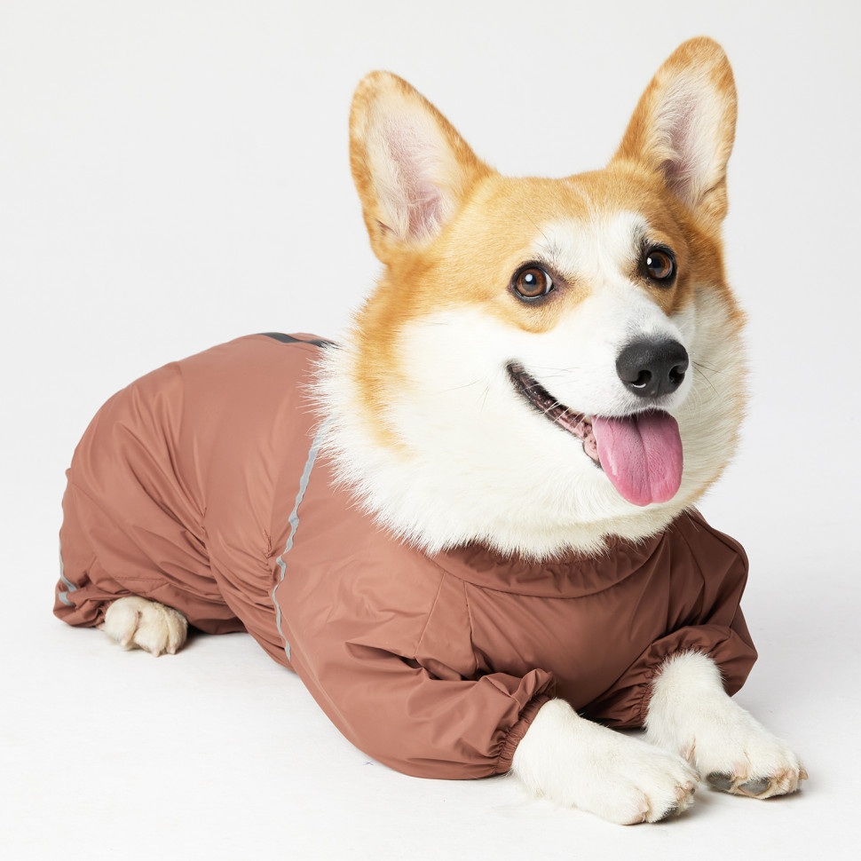 Дождевик для собаки Lion Корги LM-9110-07 мальчик Размер 2 (спинка 48-50, обхват шеи 38-48, обхват груди 46-54)