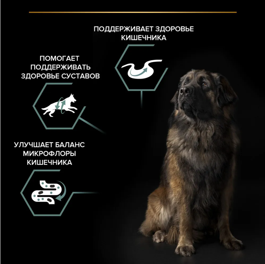 Корм Purina Pro Plan Large Adult Robust ягненок+рис для взрослых собак крупных пород 14 кг
