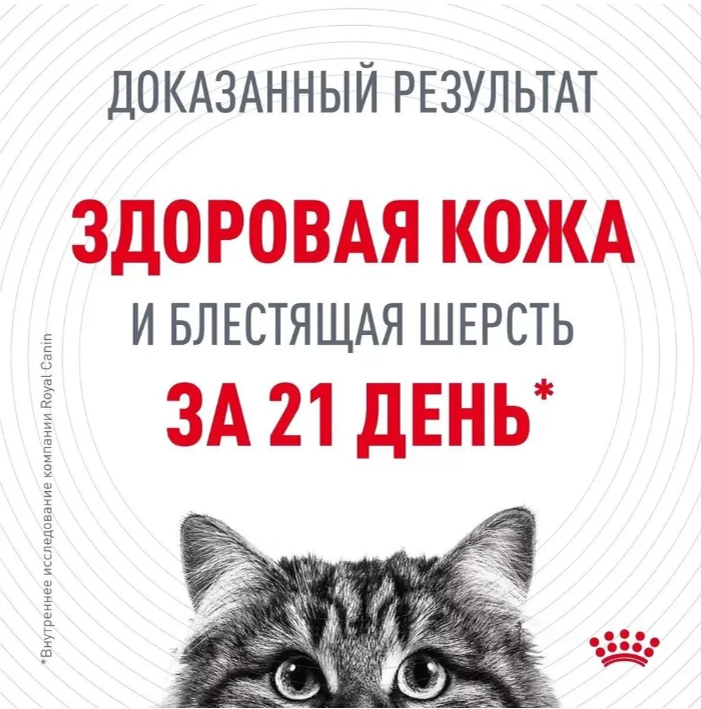 Влажный корм для кошек Royal Canin Intense Beauty кусочки в соус "Идеальная кожа и шерсть" 85 г