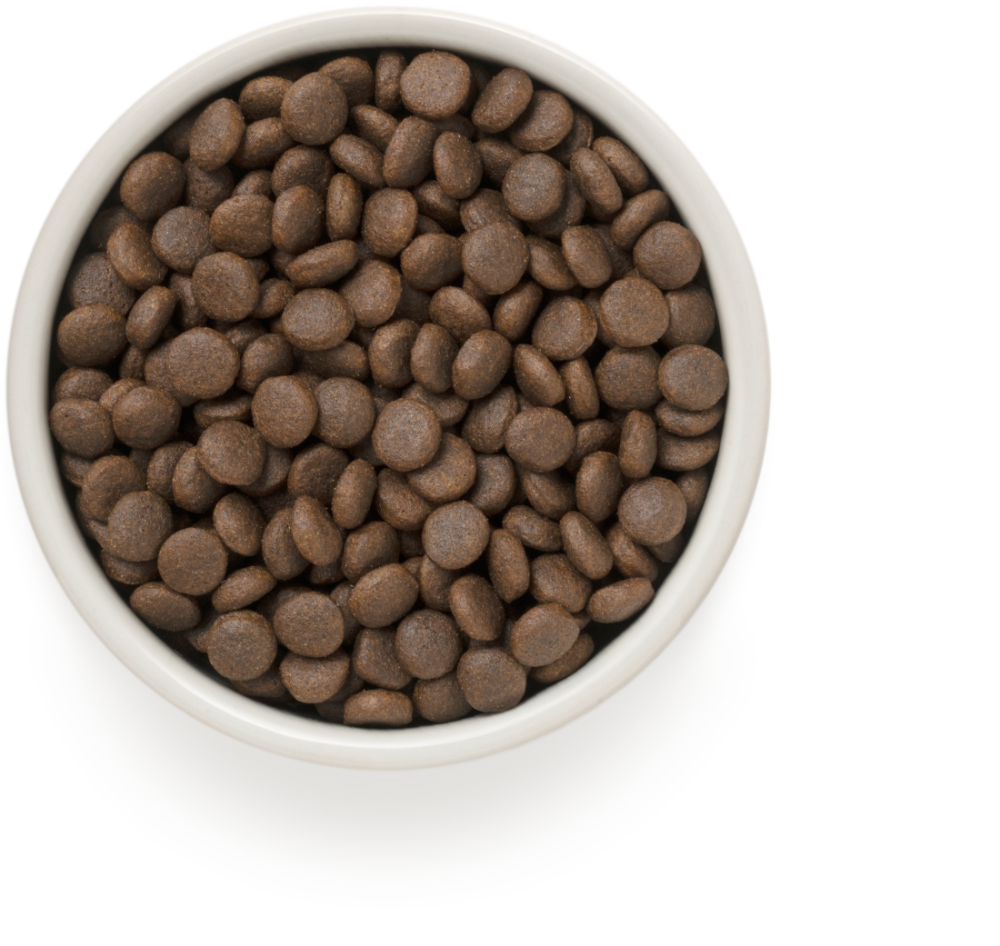 Корм Grandorf 4 Meat Recipe Medium &amp; Maxi Holistic Probiotic для собак средних и крупных пород, с ПРОБИОТИКАМИ, 4 вида мяса с рисом