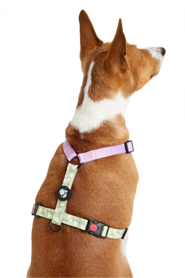 Шлейка LionPets LP23-10 (Размер XL обхват груди 62-100 см, шея 44-65 см)