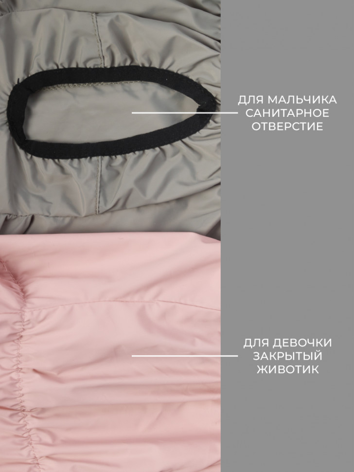 Дождевик ЛионПетс Французский бульдог для мальчика LPK9025-10 спина 41.вет Молочный