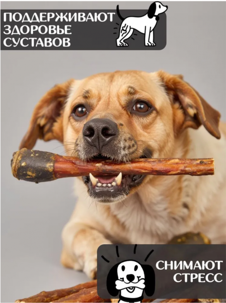 Лакомства Фор Родент Дог КОНСКИЙ корень КРУПНЫЙ 50 см 200 г УПАКОВКА