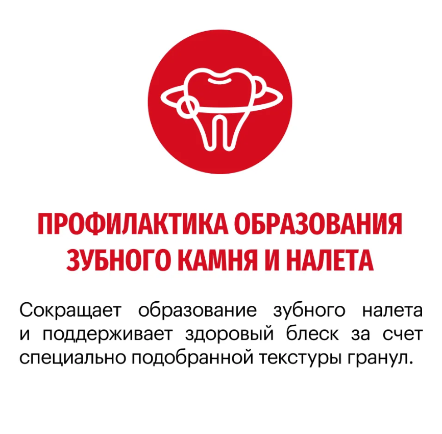 Корм Karmy MEDIUM  ADULT -Телятина. Корм для взрослых собак средних пород