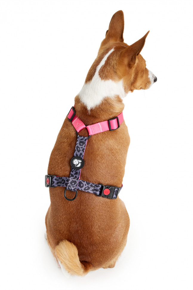 Шлейка LionPets LP23-14 (Размер L обхват груди 46-72 см, шея 38-58 см)