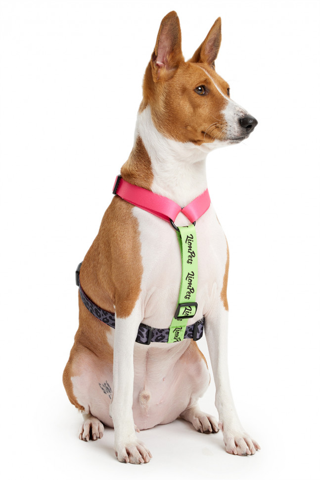 Шлейка LionPets LP23-14 (Размер М обхват груди 36-56 см, шея 31-47 см)