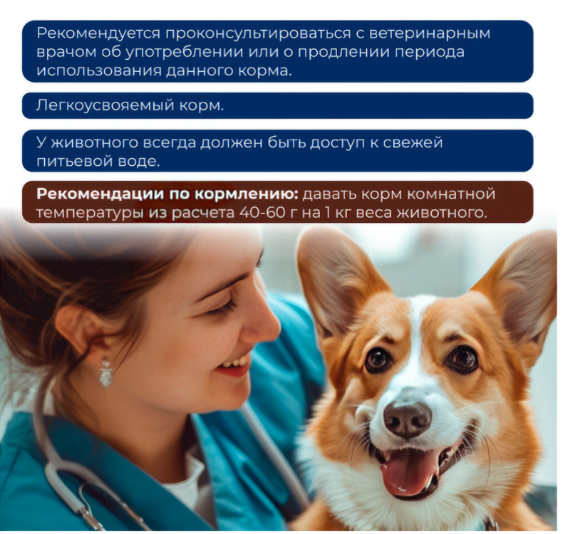 Корм Original Choice Vetdiet Gastrointestinal Holistic (паштет) для собак, профилактика болезней желудочно-кишечного тракта 340 г