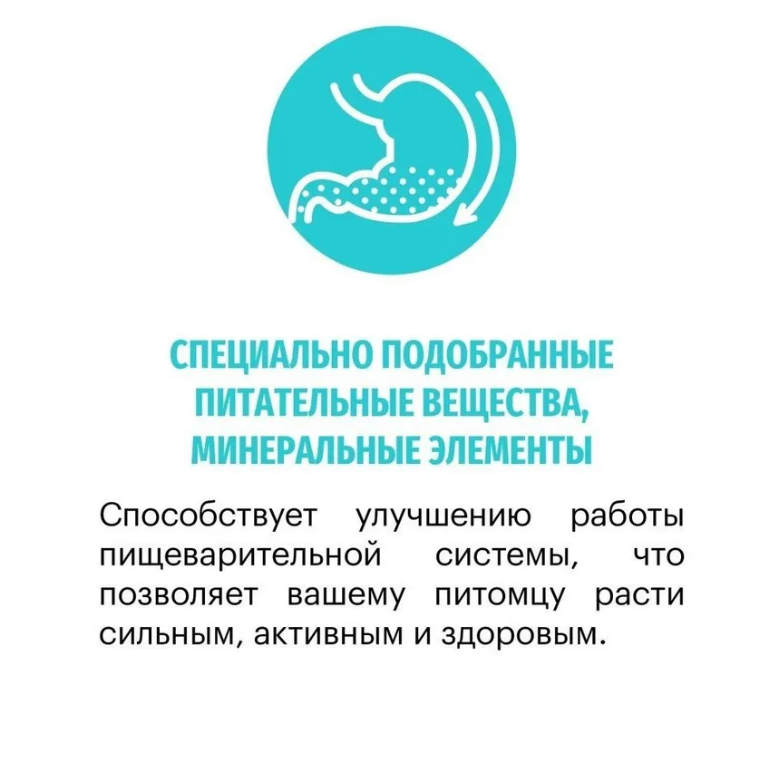 Корм Karmy HYPOALLERGENIC MEDIUM&amp;MAXI для склонных к пищевой аллергии - ягненок