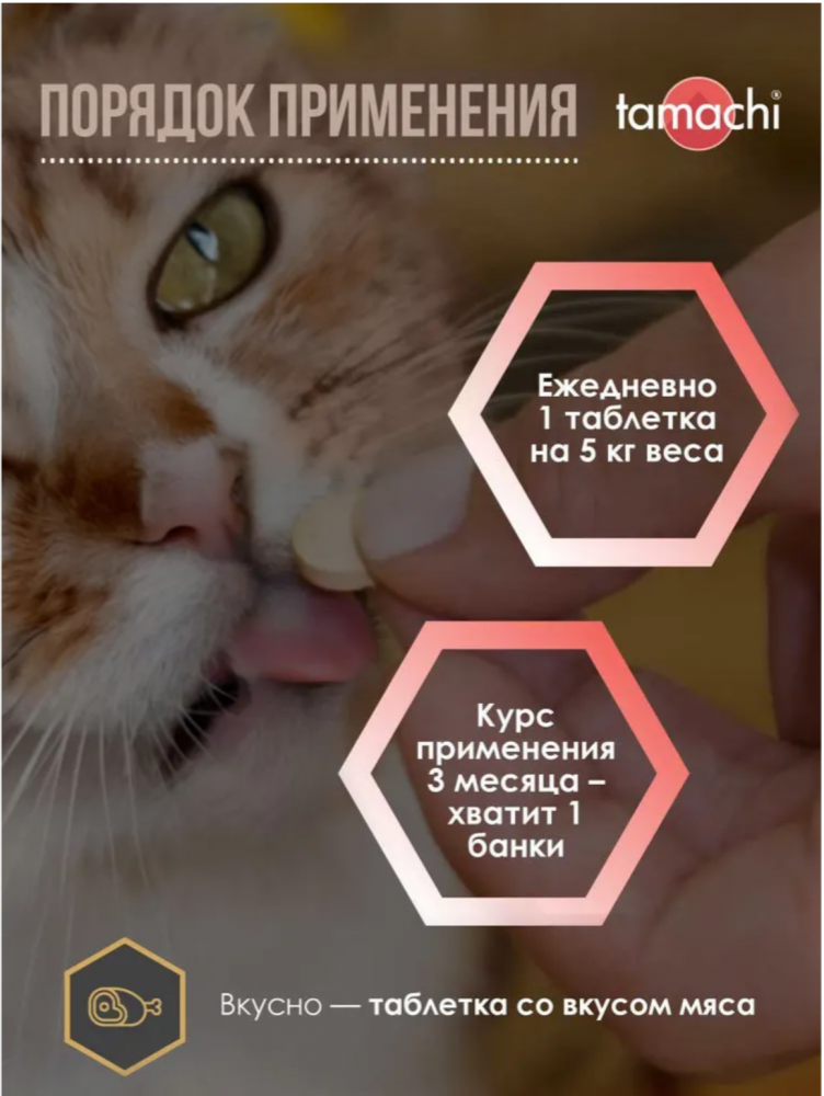 Витамины для кошек Tamachi Chondro для суставов 100 шт