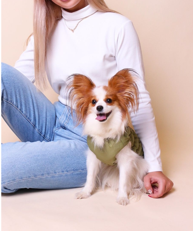 Lion жилет НА ГЛАДКОЙ ПОДКЛАДКЕ для собак, размер XXXL (Длина спинки 38-40, грудь 52-64, шея 36-48))