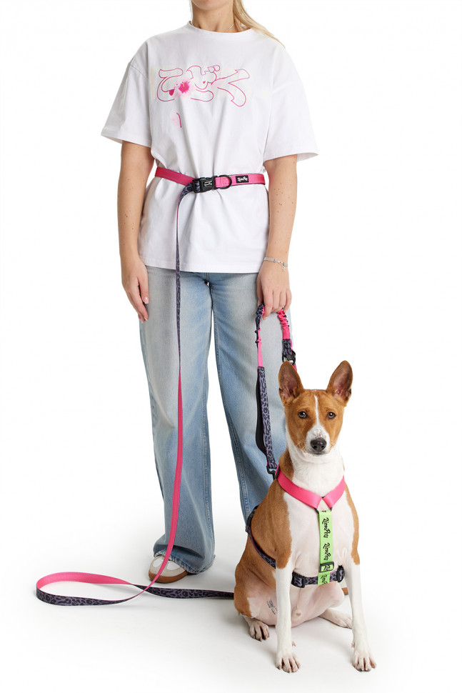 Шлейка LionPets LP23-14 (Размер S обхват груди 28-40 см, шея 24-32 см)