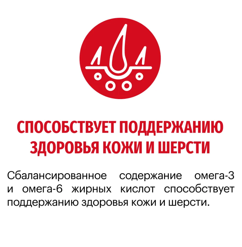 Корм Karmy MEDIUM  ADULT -Телятина. Корм для взрослых собак средних пород