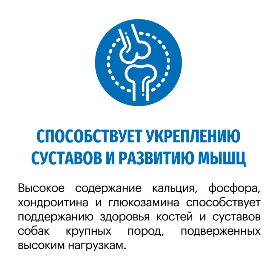 Корм Karmy MAXI ADULT - Индейка. Корм для взрослых собак крупных пород