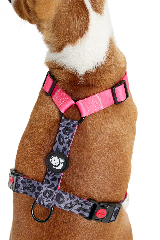 Шлейка LionPets LP23-14 (Размер L обхват груди 46-72 см, шея 38-58 см)