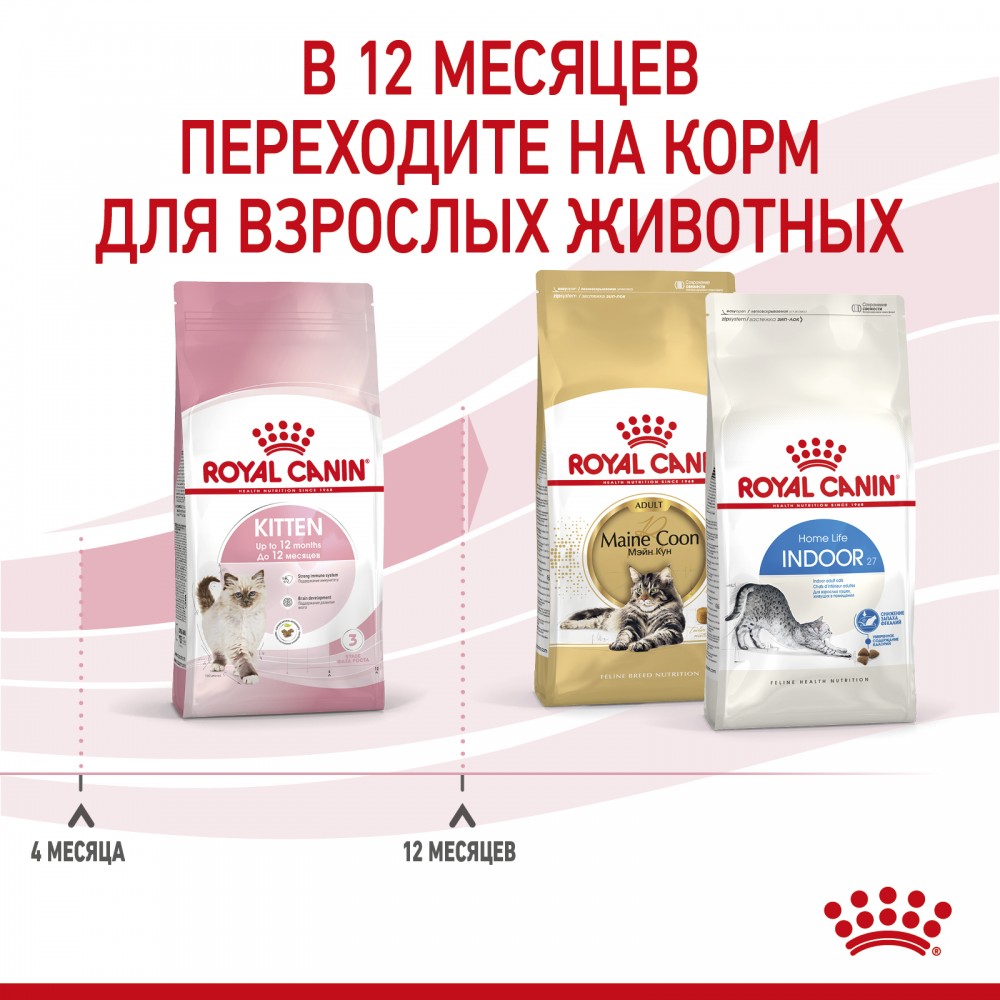 Корм Royal Canin Kitten для котят от 4 до 12 мес
